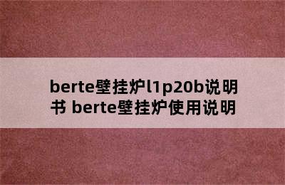 berte壁挂炉l1p20b说明书 berte壁挂炉使用说明